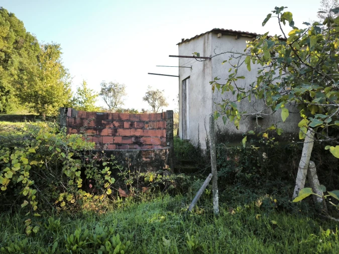 Terreno para Venda em Oliveira do Conde Foto 13