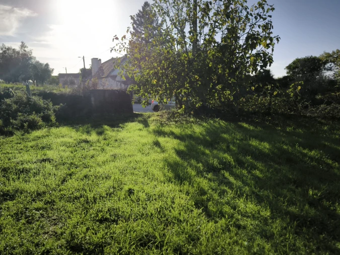 Terreno para Venda em Oliveira do Conde Foto 9