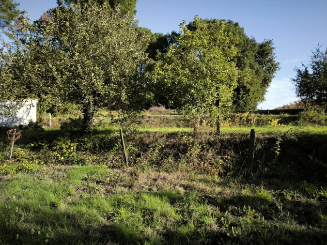 Terreno para Venda em Oliveira do Conde Foto 7
