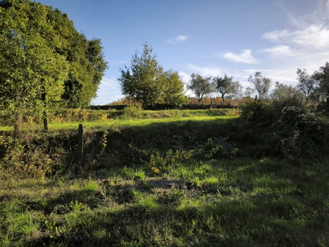 Terreno para Venda em Oliveira do Conde Foto 15
