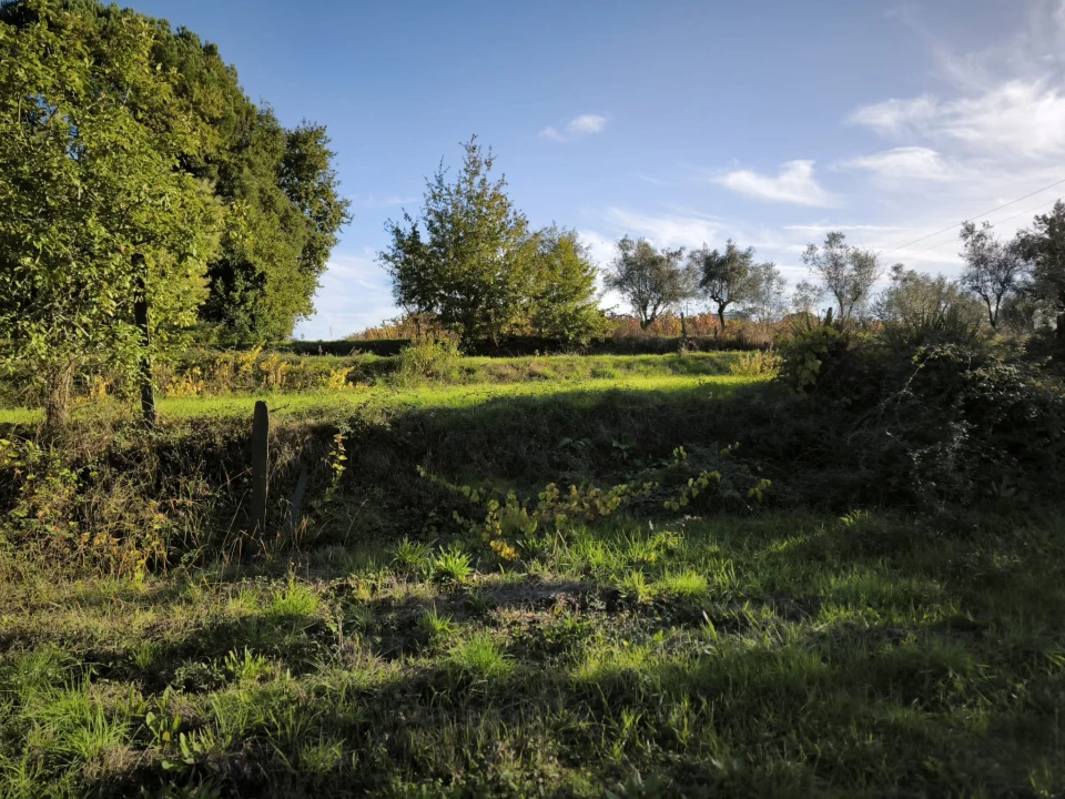 Terreno para Venda em Oliveira do Conde Foto 4