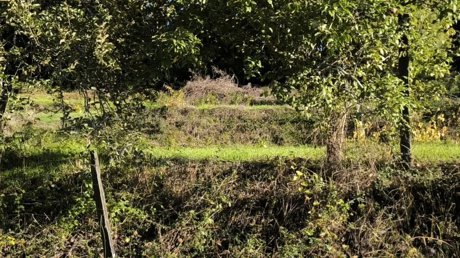 Terreno para Venda em Oliveira do Conde