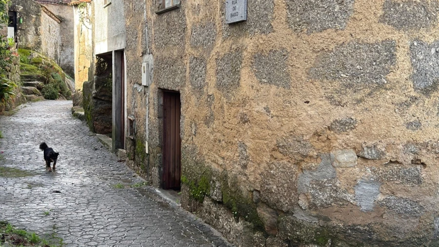 Moradia T3 para Venda em Covas e Vila Nova de Oliveirinha