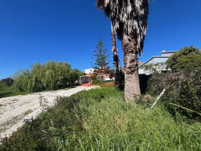 Quinta para Venda em Turcifal Foto 4