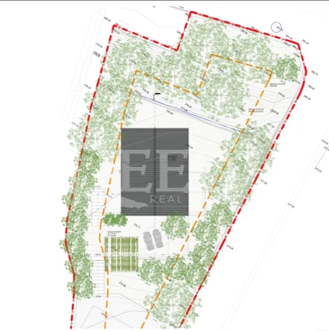 Moradia T1 para Venda em São Vicente