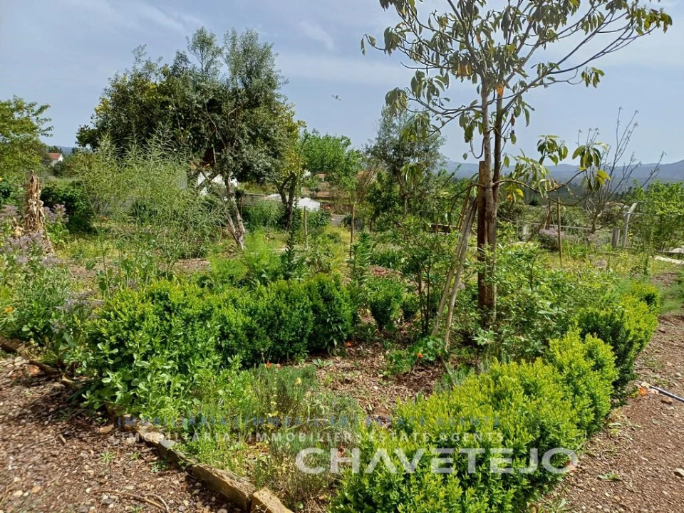 Quinta para Venda em Cumeada e Marmeleiro Foto 8
