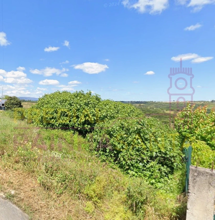 Terreno para Venda em Pernes Foto 5