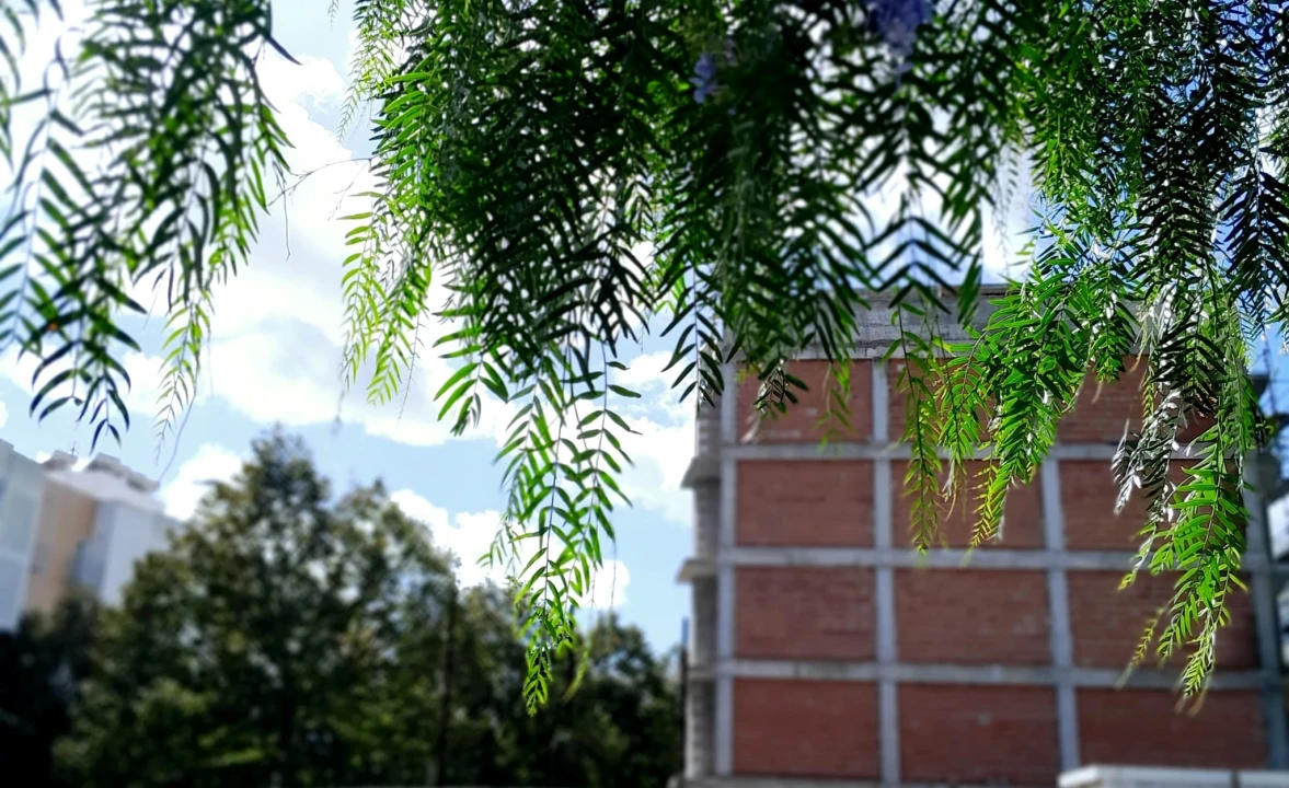 Loja para Venda em Vialonga Foto 16