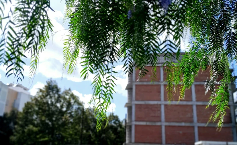 Loja para Venda em Vialonga Foto 9