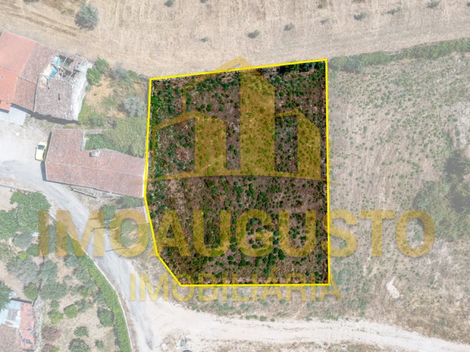 Terreno para Venda em São Pedro e Santa Maria e Vila Boa do Mondego Foto 1