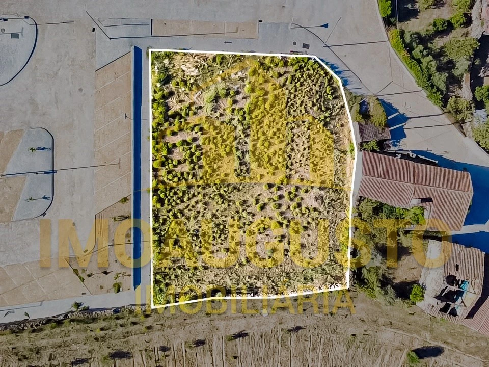 Terreno para Venda em São Pedro e Santa Maria e Vila Boa do Mondego Foto 2