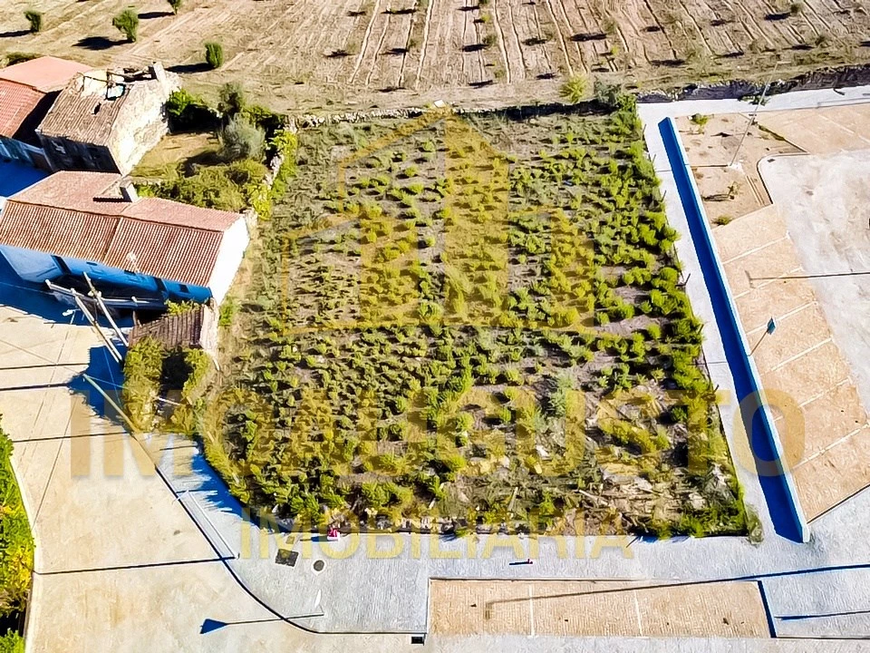 Terreno para Venda em São Pedro e Santa Maria e Vila Boa do Mondego Foto 3