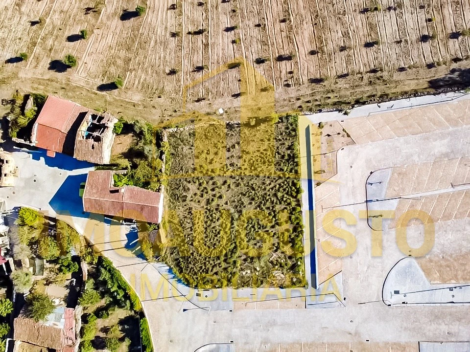 Terreno para Venda em São Pedro e Santa Maria e Vila Boa do Mondego Foto 4