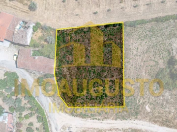 Terreno para Venda em São Pedro e Santa Maria e Vila Boa do Mondego