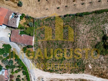 Terreno para Venda em São Pedro e Santa Maria e Vila Boa do Mondego