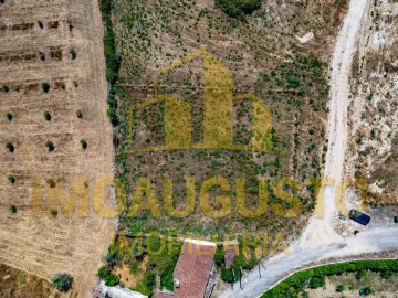Terreno para Venda em São Pedro e Santa Maria e Vila Boa do Mondego