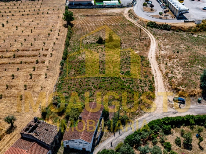 Terreno para Venda em São Pedro e Santa Maria e Vila Boa do Mondego Foto 5