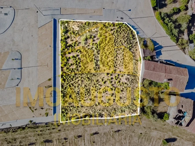 Terreno para Venda em São Pedro e Santa Maria e Vila Boa do Mondego Foto 2
