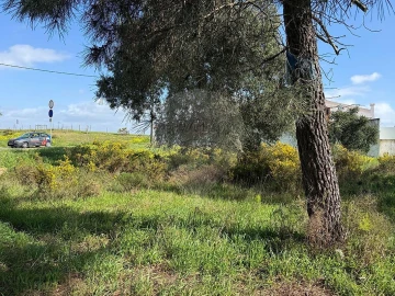 Terreno para Venda em Quinta do Anjo