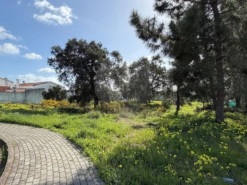 Terreno para Venda em Quinta do Anjo