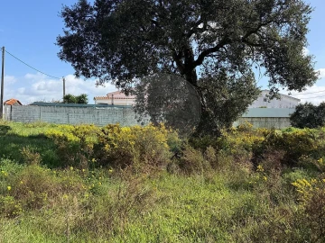 Terreno para Venda em Quinta do Anjo