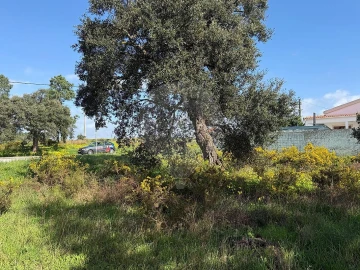 Terreno para Venda em Quinta do Anjo