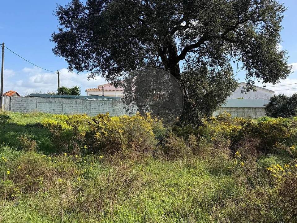 Terreno para Venda em Quinta do Anjo Foto 3