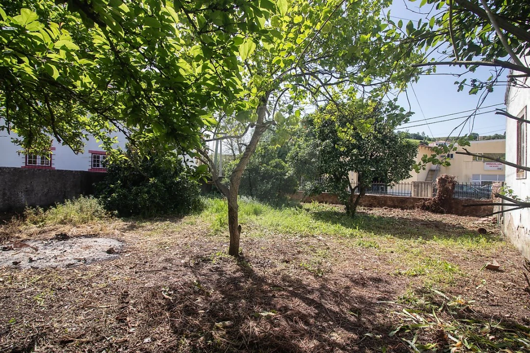 Moradia T2 para Venda em Ribafria e Pereiro de Palhacana Foto 12