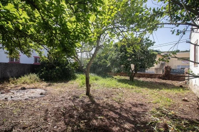 Moradia T2 para Venda em Ribafria e Pereiro de Palhacana