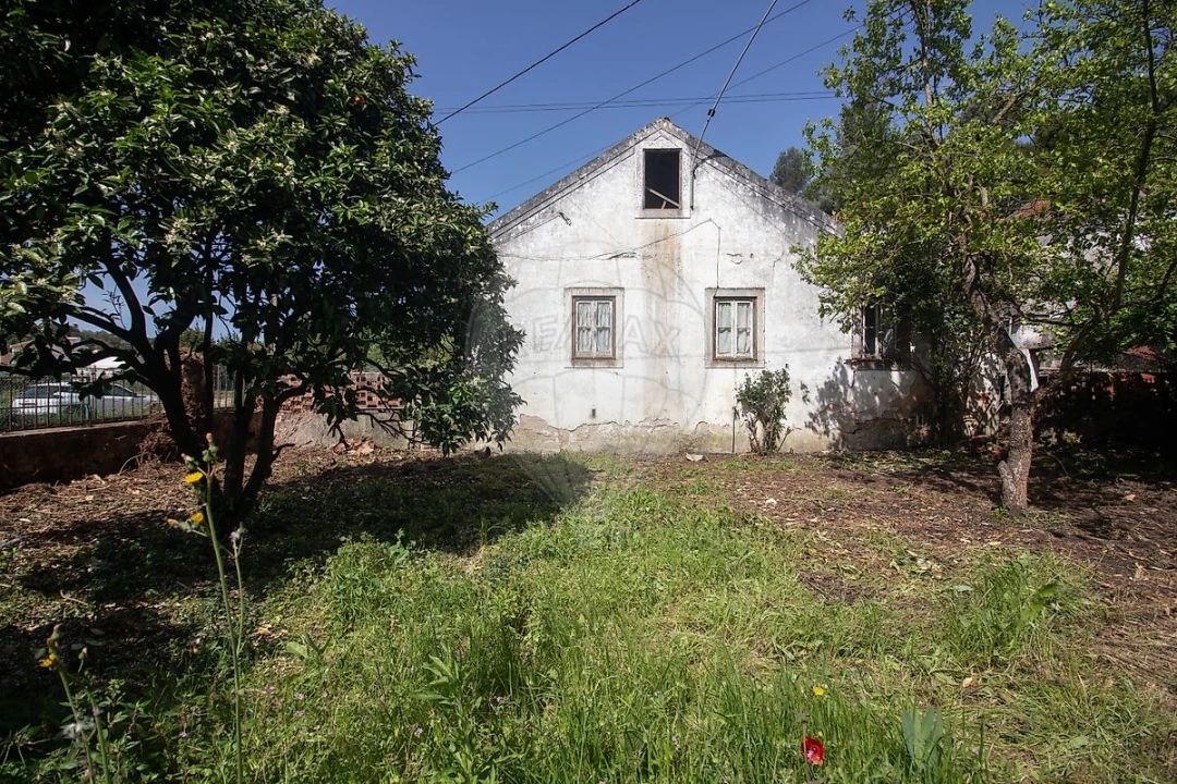 Moradia T2 para Venda em Ribafria e Pereiro de Palhacana Foto 9