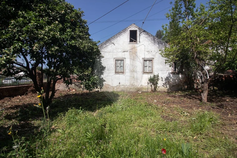 Moradia T2 para Venda em Ribafria e Pereiro de Palhacana Foto 9