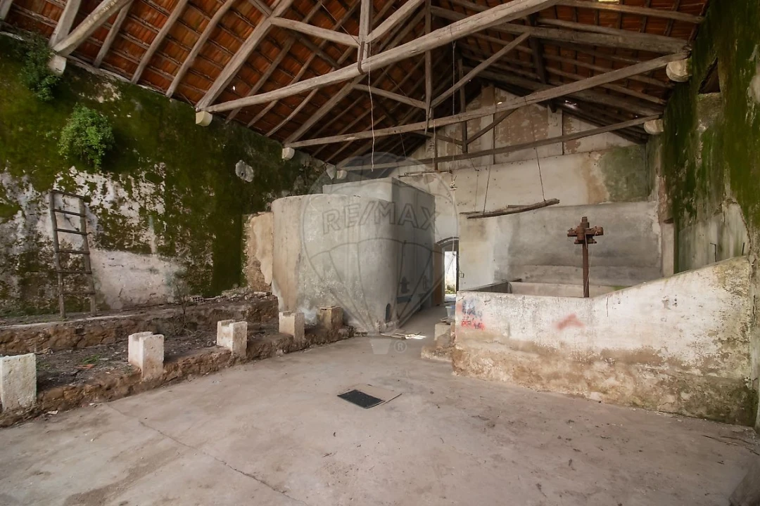 Moradia T2 para Venda em Ribafria e Pereiro de Palhacana Foto 40