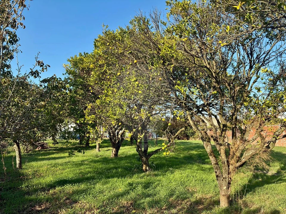 Moradia T3 para Venda em Ovar, São João, Arada e São Vicente de Pereira Jusã Foto 1