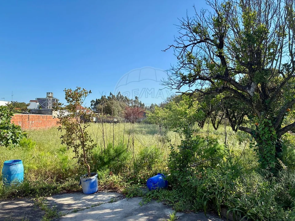 Moradia T3 para Venda em Ovar, São João, Arada e São Vicente de Pereira Jusã Foto 10