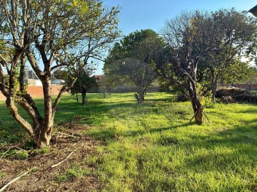 Moradia T3 para Venda em Ovar, São João, Arada e São Vicente de Pereira Jusã