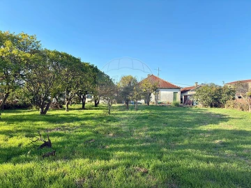 Moradia T3 para Venda em Ovar, São João, Arada e São Vicente de Pereira Jusã