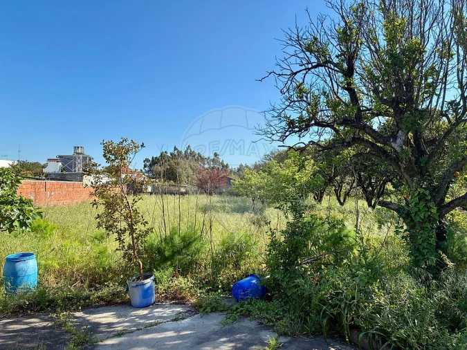 Moradia T3 para Venda em Ovar, São João, Arada e São Vicente de Pereira Jusã Foto 10