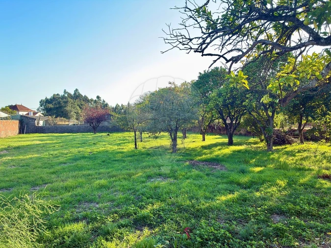 Moradia T3 para Venda em Ovar, São João, Arada e São Vicente de Pereira Jusã Foto 3