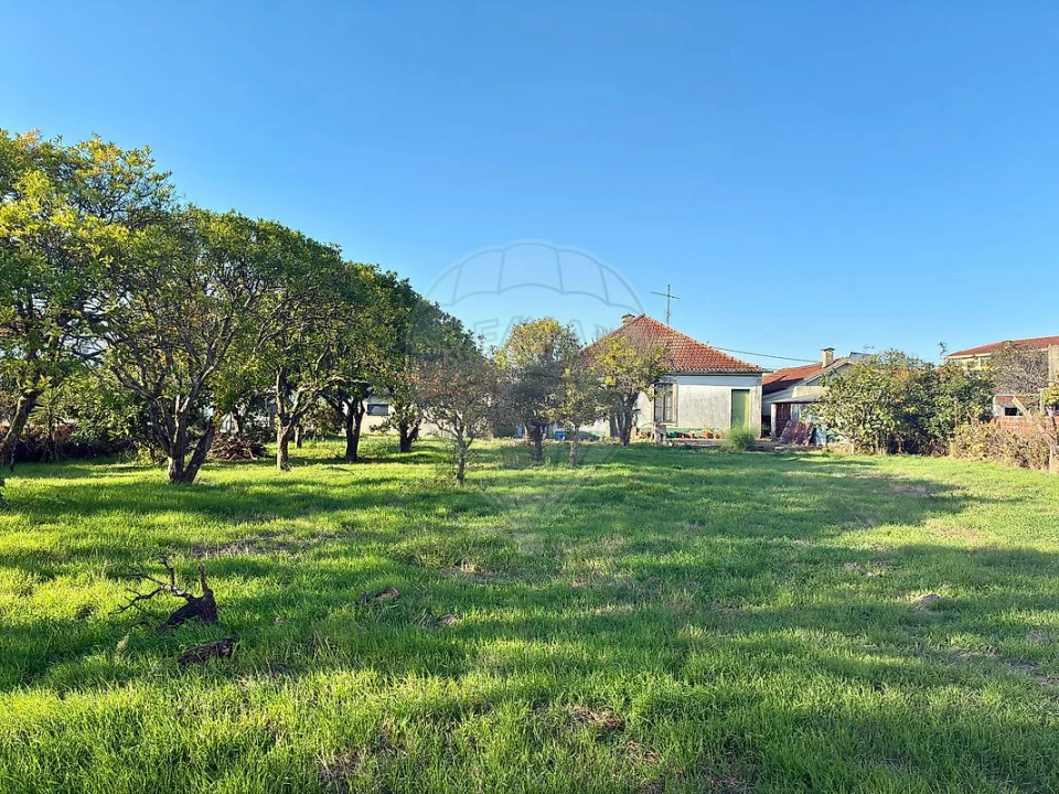 Moradia T3 para Venda em Ovar, São João, Arada e São Vicente de Pereira Jusã Foto 5