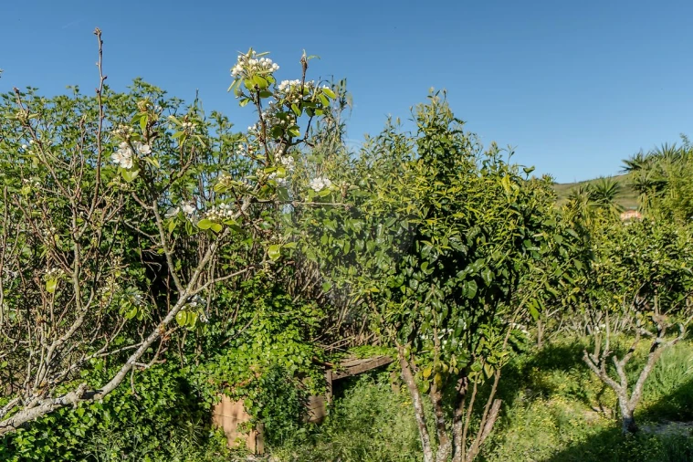 Moradia T3 para Venda em Santo Quintino Foto 28