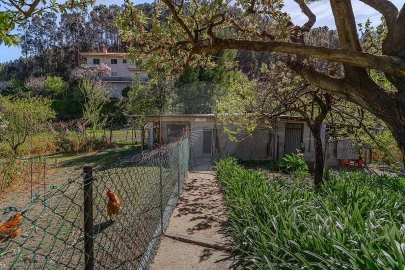 Moradia T3 para Venda em Fornos