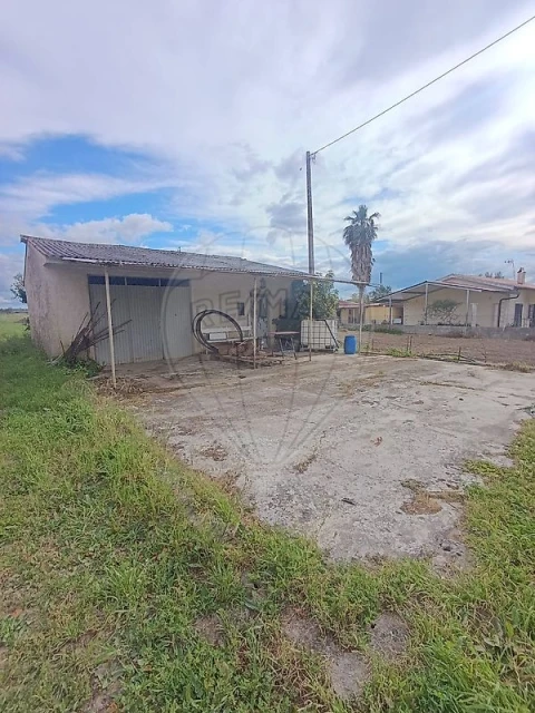 Terreno para Venda em São Martinho de Árvore e Lamarosa