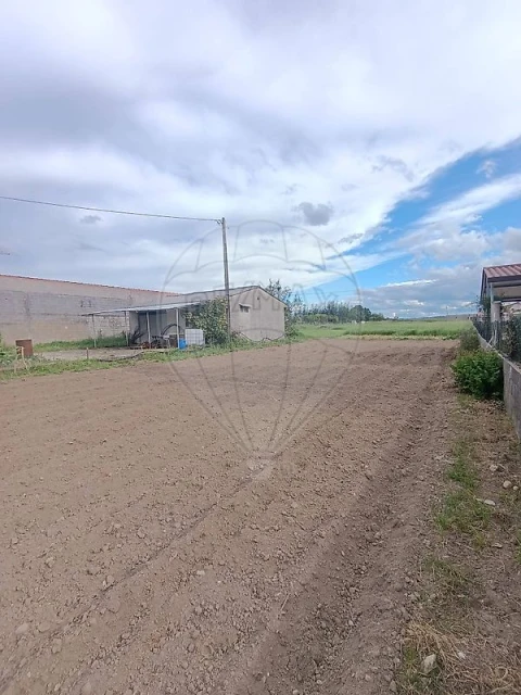 Terreno para Venda em São Martinho de Árvore e Lamarosa