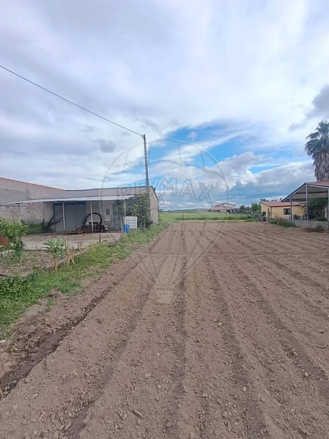 Terreno para Venda em São Martinho de Árvore e Lamarosa