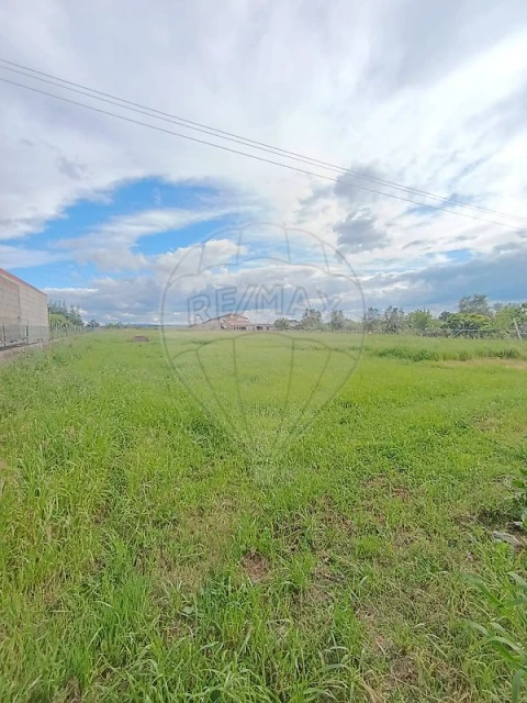 Terreno para Venda em São Martinho de Árvore e Lamarosa