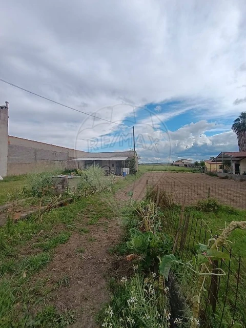 Terreno para Venda em São Martinho de Árvore e Lamarosa