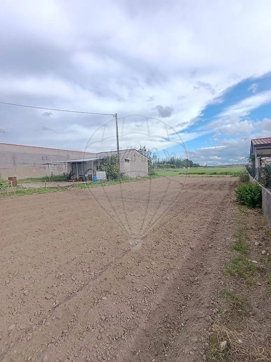 Terreno para Venda em São Martinho de Árvore e Lamarosa Foto 3