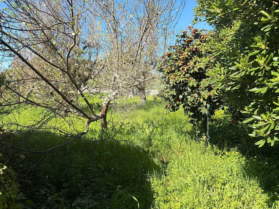 Moradia T4 para Venda em Midões Foto 18