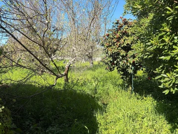 Moradia T4 para Venda em Midões