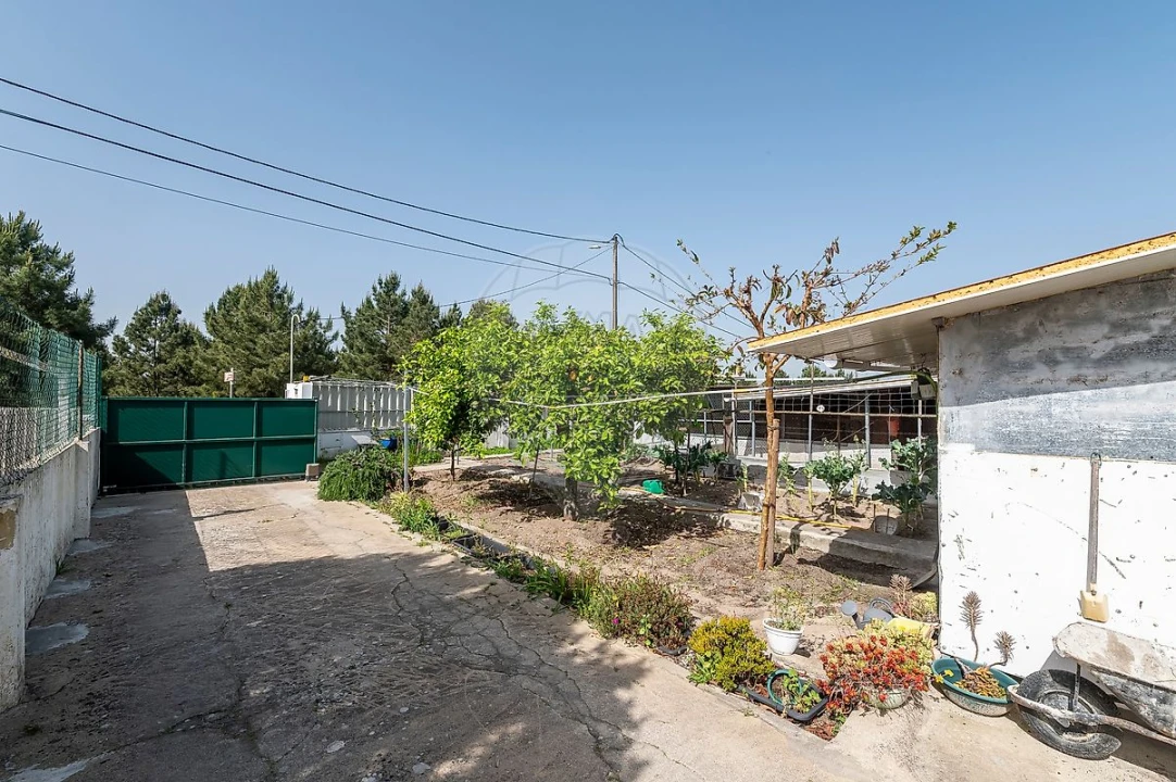 Moradia T3 para Venda em Palmela Foto 42